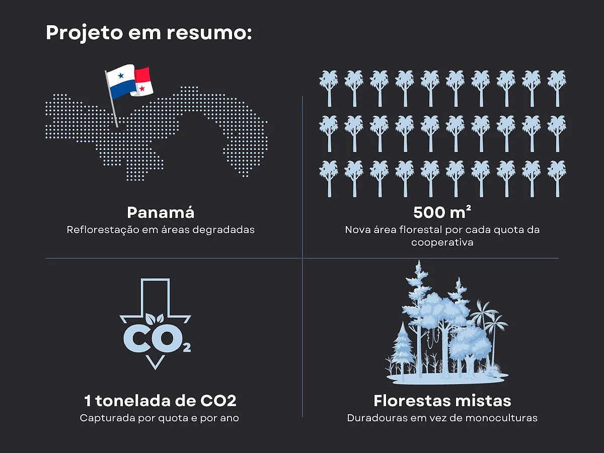Generation Forest Graphic PT